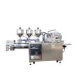 DPP 180 Blister packing machine for paste 01